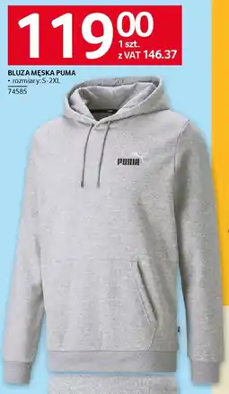 Selgros Bluza męska Puma oferta