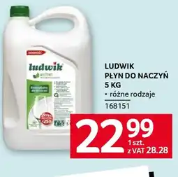 Selgros LUDWIK PLYN DO NACZYN oferta
