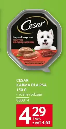 Selgros CESAR KARMA DLA PSA oferta