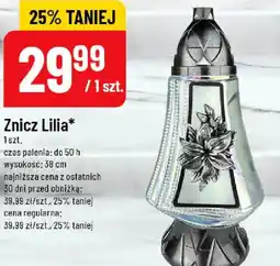 Polomarket Znicz Lilia oferta