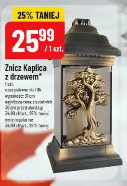 Polomarket Znicz Kaplica oferta