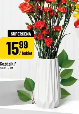 Polomarket Goździki oferta