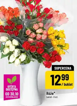 Polomarket Róże oferta