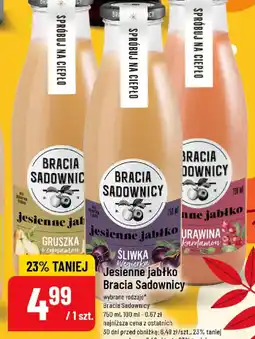 Polomarket Bracia Sadownicy Jesienne jabłko oferta