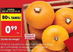 Biedronka Dynia oferta