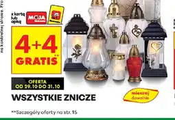 Biedronka Znicze oferta