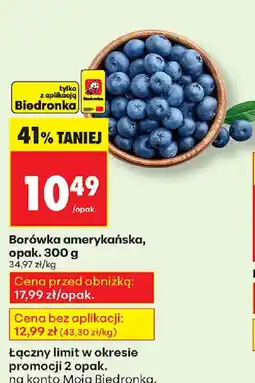 Biedronka Borówka amerykańska oferta