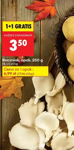 Biedronka Boczniak oferta