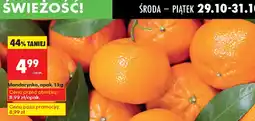 Biedronka Mandarynka oferta