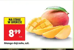 Biedronka Mango oferta