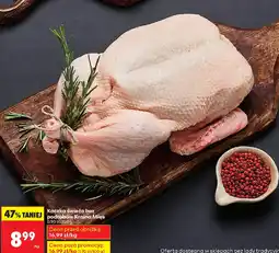 Biedronka Kaczka świeża oferta