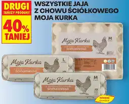 Biedronka Jaja z chowu ściółkowego Moja Kurka oferta