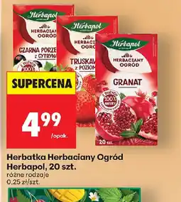 Biedronka Herbatka Herbaciany Ogród oferta