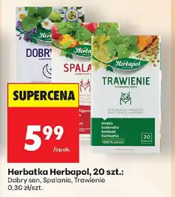 Biedronka Herbatka Herbapol oferta
