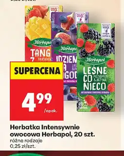 Biedronka Herbatka Intensywnie owocowa Herbapol oferta