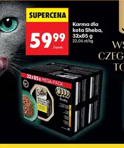 Biedronka Karma dla kota Sheba oferta