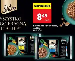 Biedronka Karma dla kota Sheba oferta