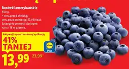 Lidl Borówki amerykańskie Lidl oferta