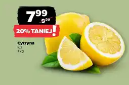Netto Cytryna luz oferta