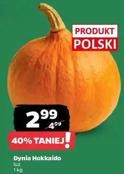 Netto Dynia Hokkaido oferta