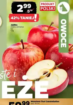 Netto Jabłko oferta