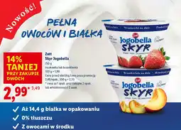Lidl Jogurt Zott Skyr Jogobella truskawka lub brzoskwinia oferta