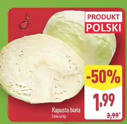 ALDI Kapusta biała Aldi oferta