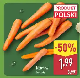 ALDI Marchew Aldi oferta
