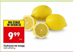Biedronka Cytryna na wagę Biedronka oferta