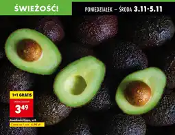 Biedronka Awokado Hass, szt. Biedronka oferta