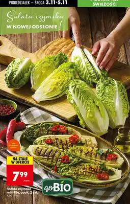 Biedronka Sałata rzymska mini Bio goBIO oferta