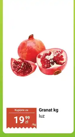 Biedronka Granat luz Biedronka oferta
