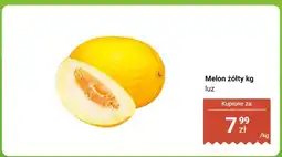 Biedronka Melon żółty luz Biedronka oferta