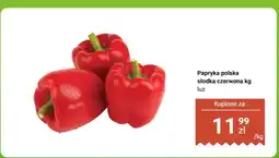 Biedronka Papryka polska słodka czerwona luz Biedronka oferta