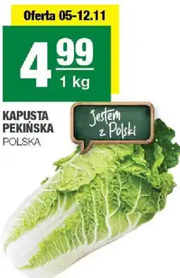 Spar Kapusta pekińska Polska SPAR oferta
