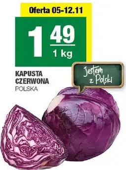 Spar Kapusta czerwona polska SPAR oferta