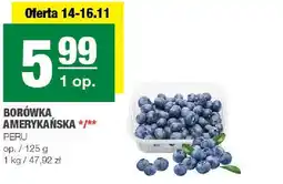 Spar Borówka amerykańska SPAR oferta