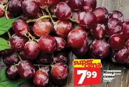 Topaz Winogrona ciemne TOPAZ oferta