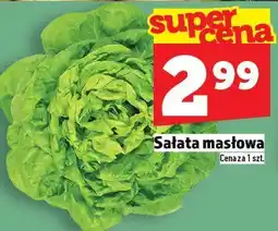 Topaz Sałata masłowa TOPAZ oferta