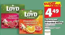 Topaz Herbata Loyd Pomarańcza i Grejpfrut 20 torebek 40g/54g oferta