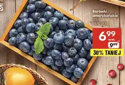 Delikatesy Centrum Borówki amerykańskie Delikatesy Centrum oferta