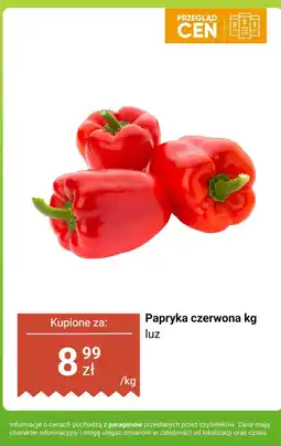 Dino Papryka czerwona kg luz Dino oferta