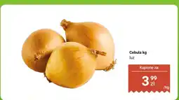 Dino Cebula kg luz Dino oferta