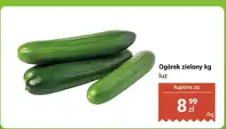 Dino Ogórek zielony kg luz Dino oferta