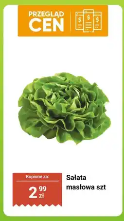 Dino Sałata masłowa szt Dino oferta