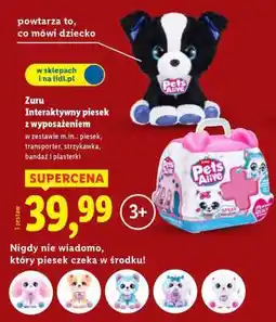Lidl Zuru Interaktywny piesek z wyposażeniem oferta