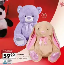 Biedronka Pluszak oferta