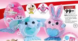 Biedronka Jajko RainboCorns oferta