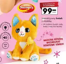 Biedronka Interaktywny kotek z różdżką oferta