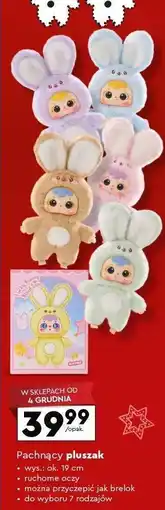 Biedronka Pachnący pluszak oferta